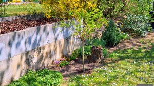 Unser Garten am 12. April 2025