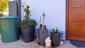 Neue Topfpflanzen am 12. April 2025