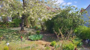 Unser Garten am 19. April 2025 (Karsamstag)
