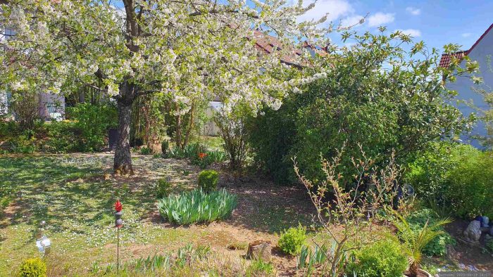 Unser Garten am 19. April 2025 (Karsamstag)