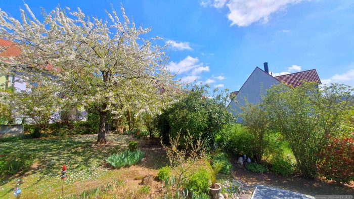 Unser Garten am 19. April 2025 (Karsamstag)