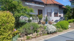 Unser Garten am 9. Mai 2025