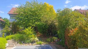 Unser Garten am 9. Mai 2025