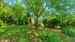Unser Garten am 9. Mai 2025