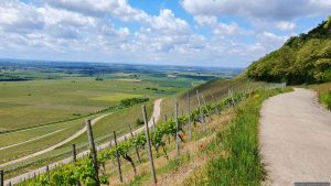 Schwanberg Nähe terroir f Iphofen am 17. Mai 2025
