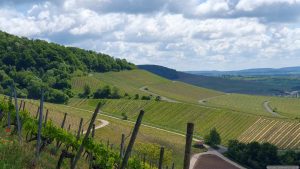 Schwanberg und Weinberge oberhalb Iphofen am 17. Mai 2025