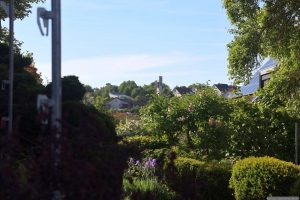 Unser Garten am 20. Mai 2025