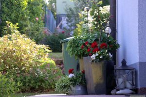 Unser Garten am 20. Mai 2025