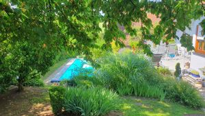 Unser Garten am 11. Juni 2025