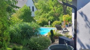 Unser Garten am 11. Juni 2025
