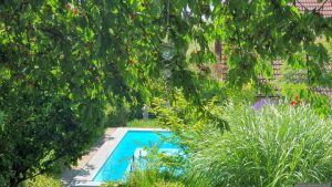 Unser Garten am 20. Juni 2025