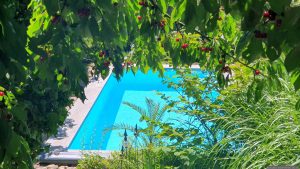 Unser Garten am 20. Juni 2025