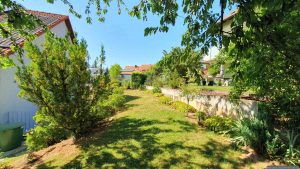 Unser Garten am 30. Juni 2025