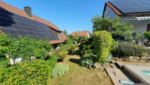 Unser Garten am 2. Juli 2025