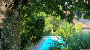 Unser Garten am 2. Juli 2025