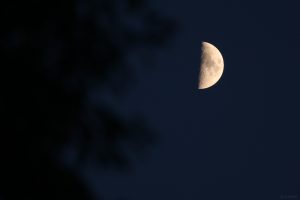 Zunehmender Mond (erstes Viertel) am 2. Juli 2025