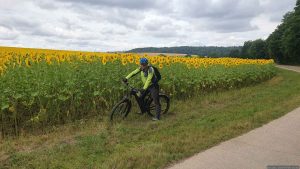 Artur Schmitt am 9. Juli 2025 an einem Sonnenblumenfeld bei Eisingen