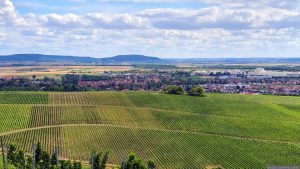 Blick vom Schwanberg auf Iphofen