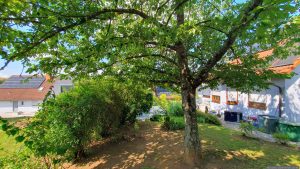 Unser Garten am 29. Juli 2025