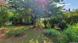 Unser Garten am 29. Juli 2025