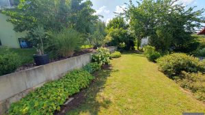Unser Garten am 29. Juli 2025