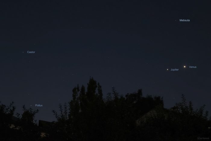 Jupiter und Venus am frühen Morgen des 11. August 2025 im Sternbild Zwillinge