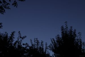 Jupiter und Venus am frühen Morgen des 12. August 2025 während ihrer engsten Annäherung im Sternbild Zwillinge