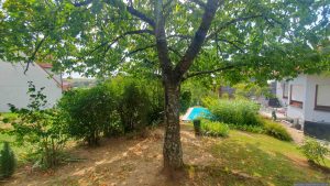 Unser Garten am 15. August 2025