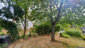 Unser Garten am 26. August 2025