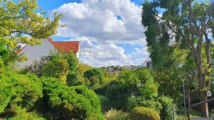 Unser Garten am 29. August 2025