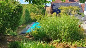 Unser Garten am 31. August 2025