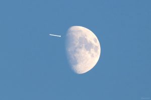 Goldener Henkel am 2. September 2025 am zunehmenden Mond
