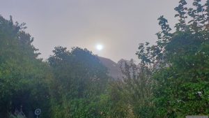 Erster Nebel am Morgen des 6. September 2025