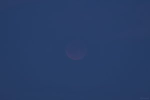 Erste Aufnahme vom total verfinsterten Mond am 7. September 2025 um 20:20 Uhr