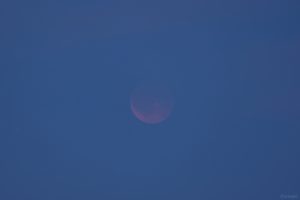 Total verfinsterter Mond mit Flugzeug am 7. September 2025 um 20:22 Uhr