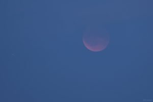 Total verfinsterter Mond am 7. September 2025 um 20:24 Uhr