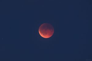 Total verfinsterter Mond am 7. September 2025 um 20:35 Uhr
