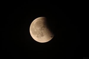 Mondfinsternis mit Flugzeug am 7. September 2025 um 21:41 Uhr