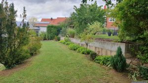 Unser Garten am 15. September 2025