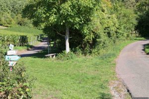 Rechts im Bild der Abt-Degen-Steig bei Ziegelanger - hier geht es zur Bodenstation und zum terroir f Punkt