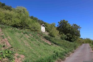 Weinhäuschen Weingut Martin (Gesichtshäusla) am Abt-Degen-Steig