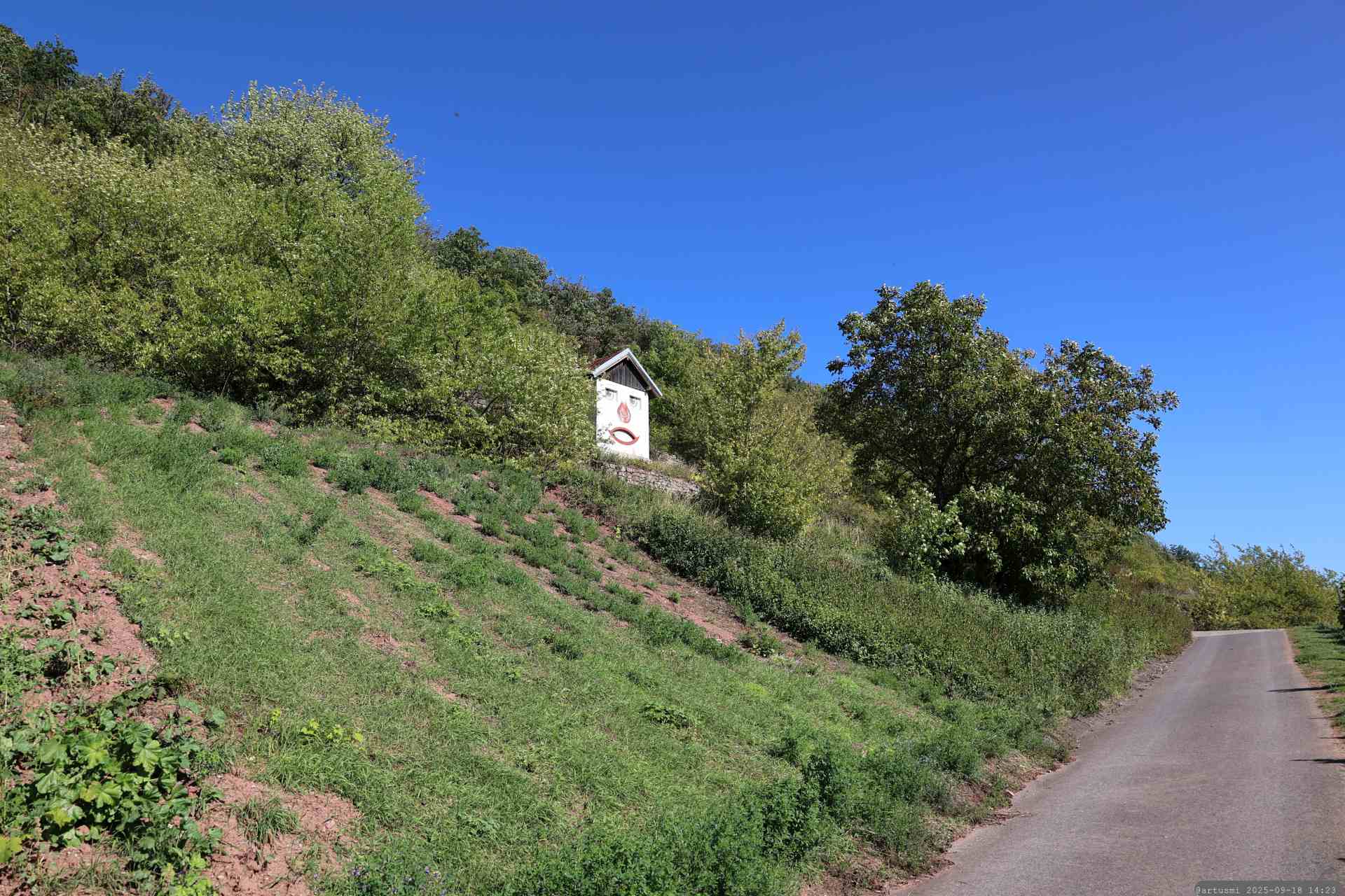 Weinhäuschen Weingut Martin (Gesichtshäusla) am Abt-Degen-Steig