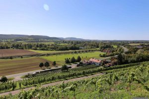 Blick vom Abt-Degen-Steig auf das Weingut Berninger in Ziegelanger