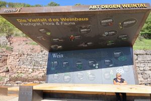 terroir f Punkt Abt Degen Weintal am 18. September 2025