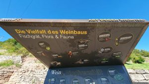 terroir f Punkt Abt Degen Weintal am 18. September 2025