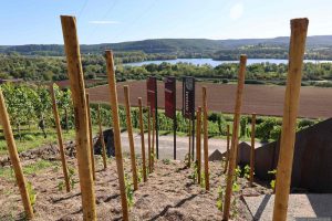 terroir f Punkt Abt Degen Weintal am 18. September 2025