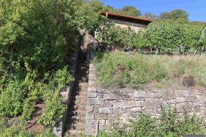 Weinbergtreppe am Abt-Degen-Steig zwischen terroir f Punkt und Winzertreppe