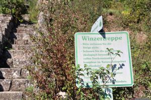 Winzertreppe am Abt-Degen-Steig bei Steinbach