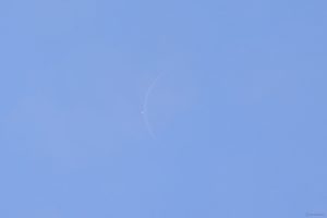 Venus am 19. September 2025 um 14:03 Uhr, kurz vor der Bedeckung durch den Mond, die wir im Video festgehalten haben