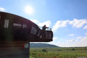 Artur Schmitt auf dem Bocksbeutel des terroir f Großlangheim am 1. Oktober 2025